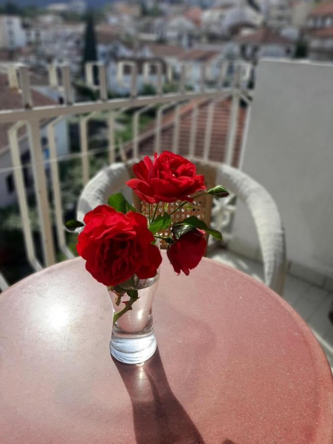 הרצג-נובי Apartment Danilo מראה חיצוני תמונה
